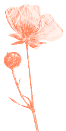 gepresste Blume digital in Orange eingefärbt